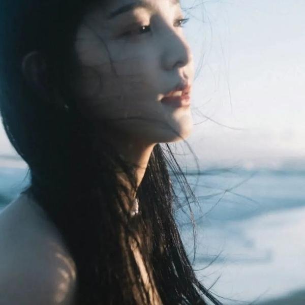 戆子记