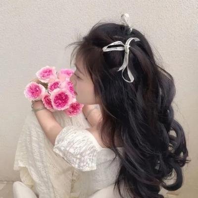 检察官内传